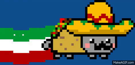 Meme TacoCat: inspirado no Nyan Cat. Imagem: Reprodução do MakeAGif. Autoria anônima.