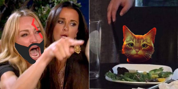 Meme do gato e salada com substituição do gato branco pelo gato laranja do jogo Stray. Fonte: Reprodução.