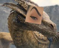 Memes HOTD: imagem do dragão com olho arqueado. Imagem: Reprodução.